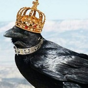 Алёна Воронкова